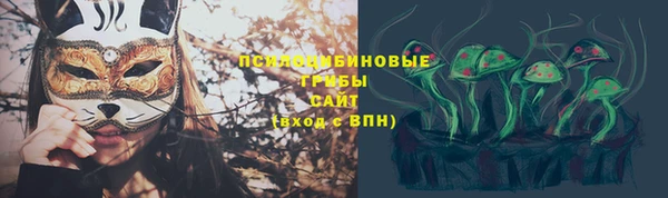 прущие крисы Бронницы