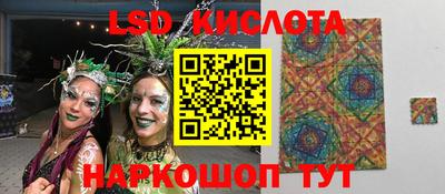 индика Камышлов