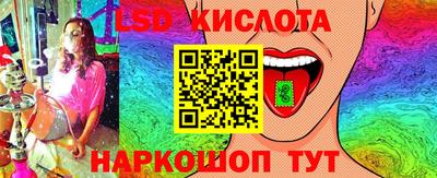 индика Камышлов
