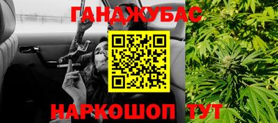 индика Камышлов