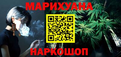 индика Камышлов