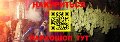 индика Камышлов