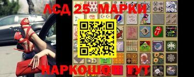 индика Камышлов