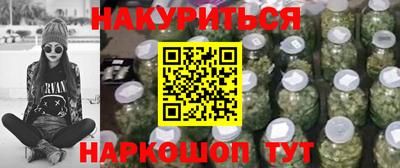 индика Камышлов