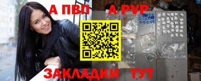 индика Камышлов