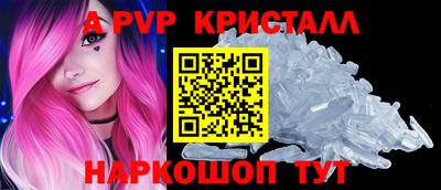 индика Камышлов