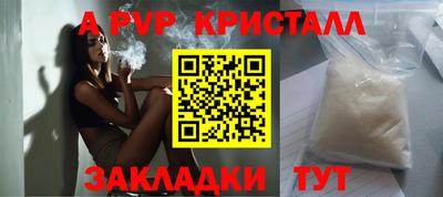 индика Камышлов