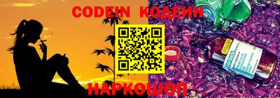 индика Камышлов