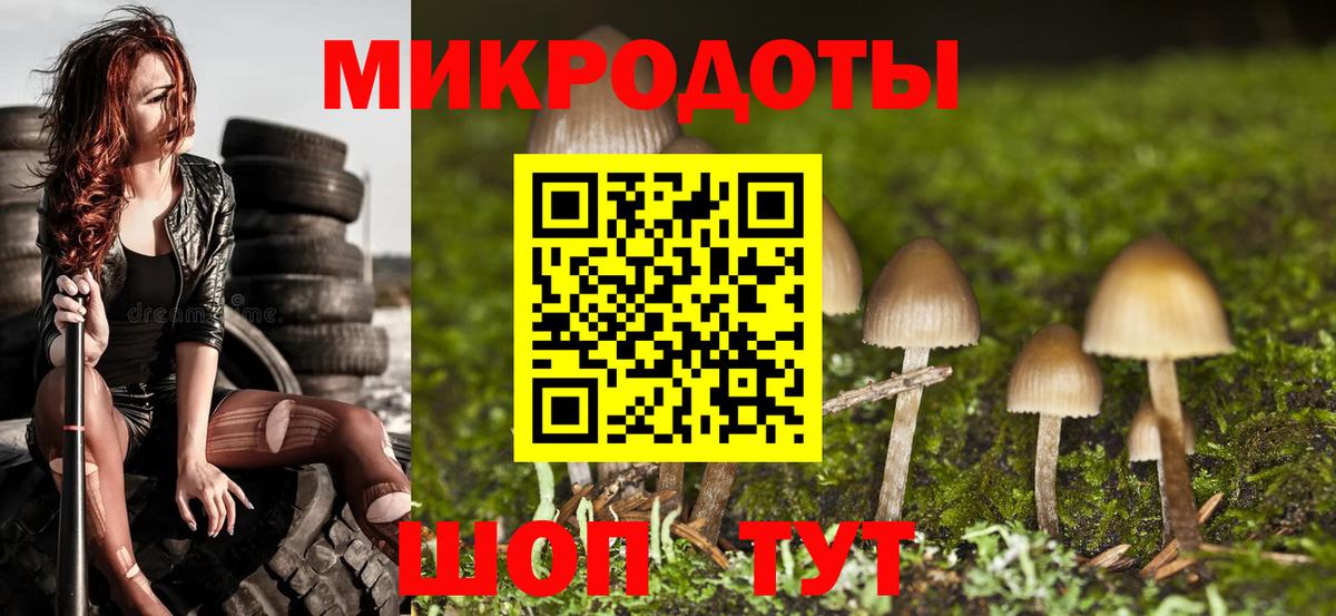 Псилоцибиновые грибы Psilocybine cubensis  Вход с VPN  Луховицы  Галлюциногенные грибы GOLDEN TEACHER 