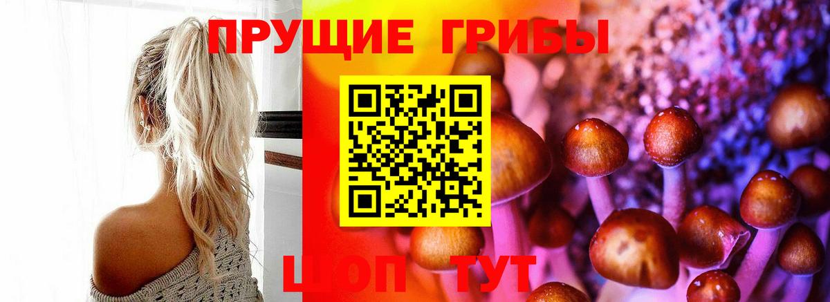Галлюциногенные грибы Cubensis Луховицы